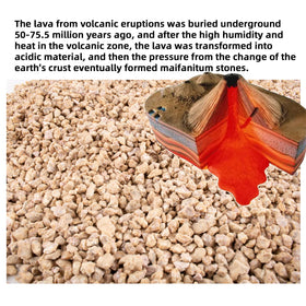 CJGQ Maifan stone cactus drainage supports healthy root systems.