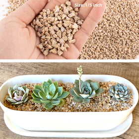 CJGQ Maifan stone fairy garden decor for charming setups.