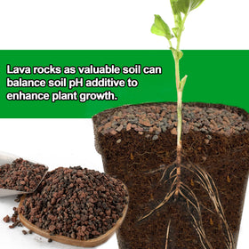 CJGQ natural soil conditioner lava rocks neutralize pH and improve texture.
