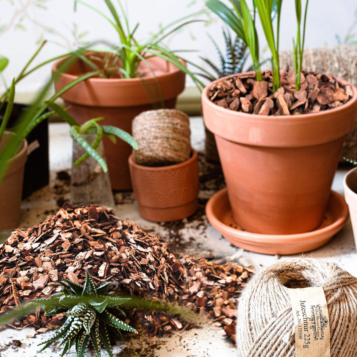 CJGQ bark application in soil aids root protection and growth.