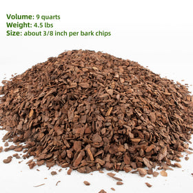 CJGQ orchid root airflow enhanced by porous pine bark.