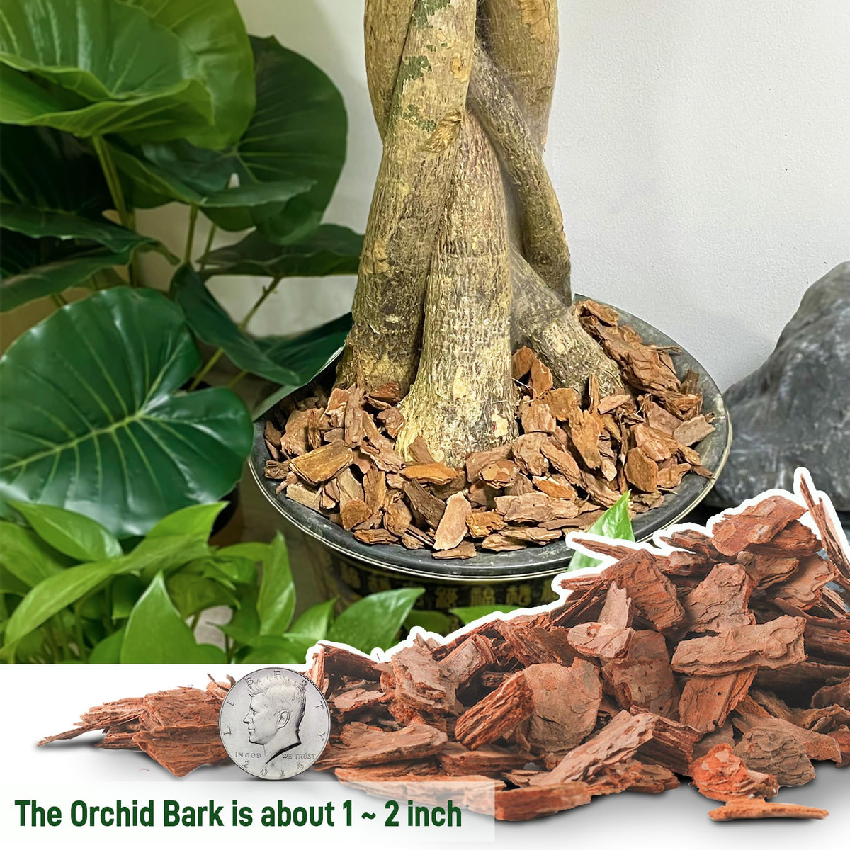 CJGQ organic pine bark potting media adds premium organic texture