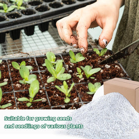 CJGQ perlite-aeration enhances root growth in mixed media