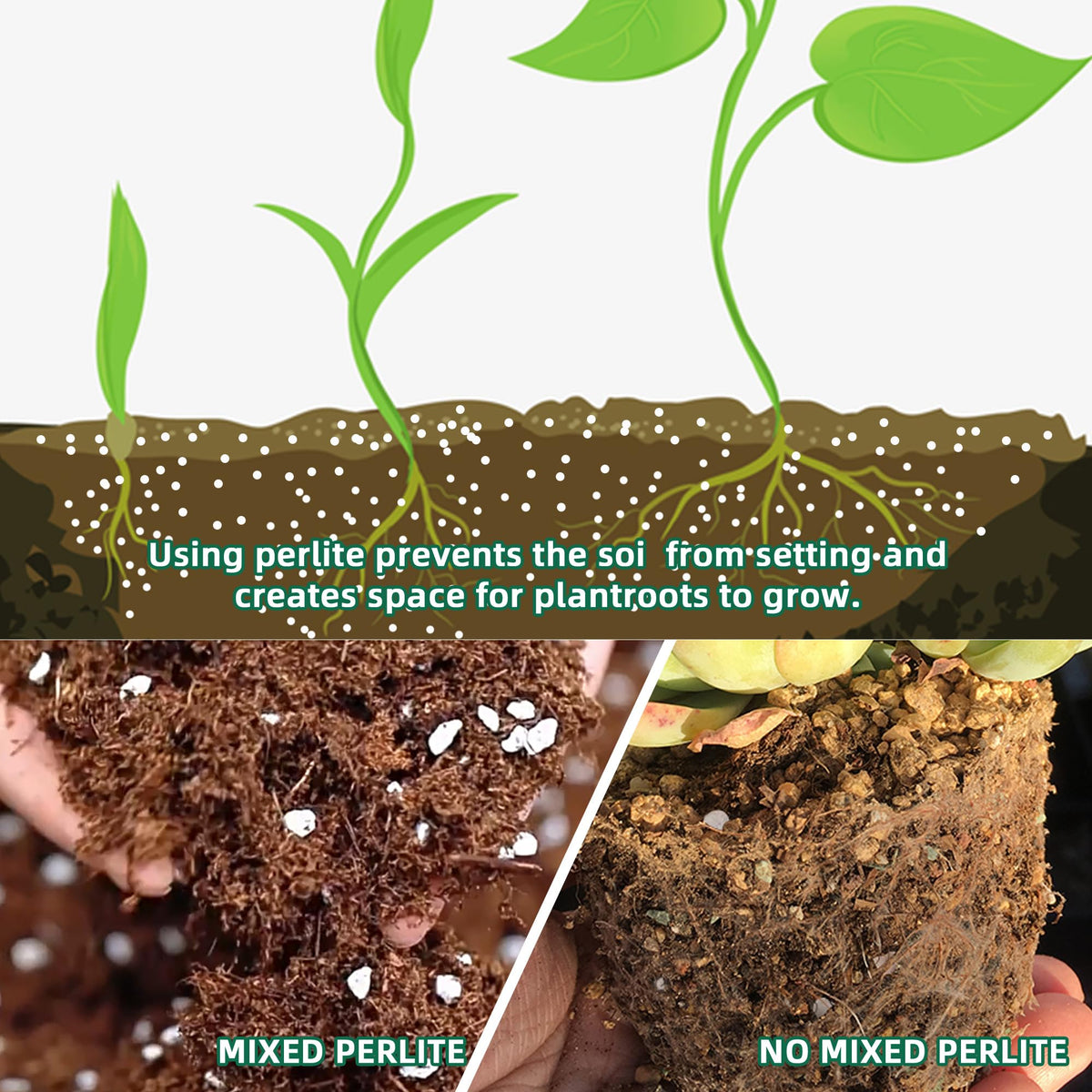 CJGQ perlite-drainage-boost helps prevent soil compaction in pots