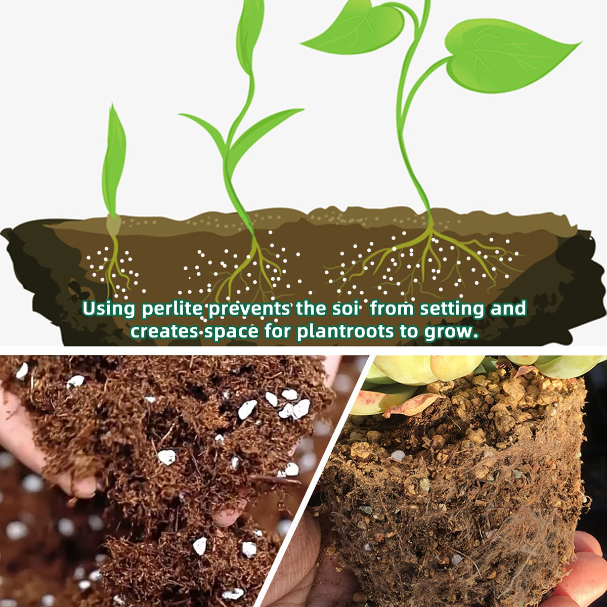 CJGQ perlite dry granules ready to enhance drainage in pots.