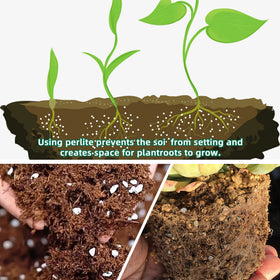 CJGQ perlite for potting soil improves drainage and supports healthier root growth
