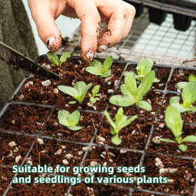 CJGQ perlite aids root aeration in seedling propagation for stronger growth.