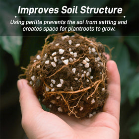 CJGQ perlite used in hydroponics enhances seed germination and root development.