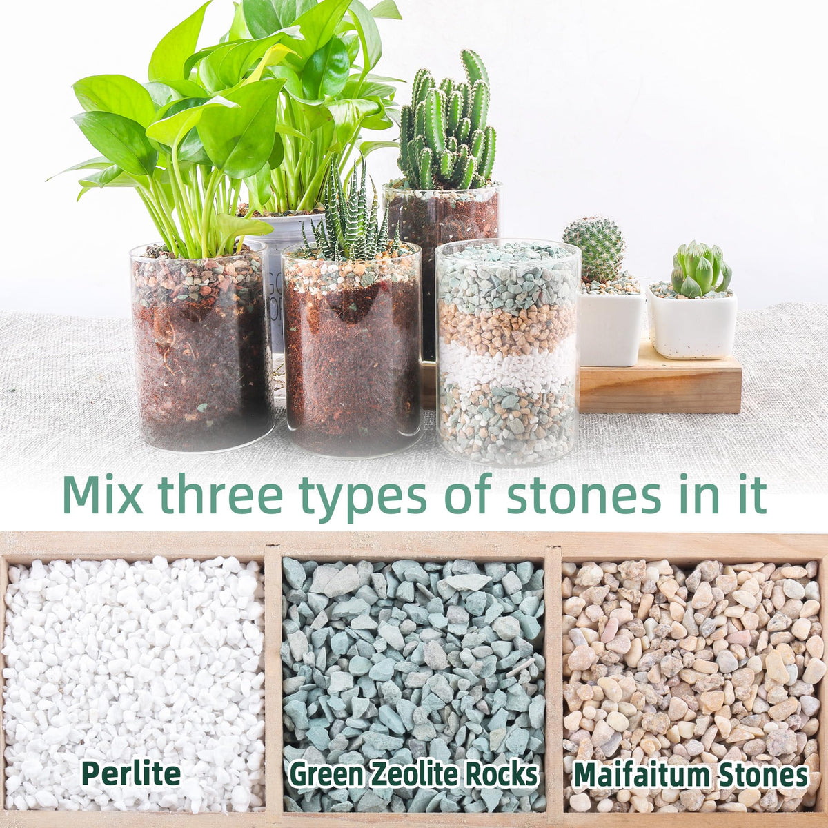 CJGQ perlite stones provide lightweight drainage for succulents and bonsai.