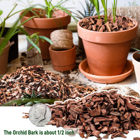 CJGQ pine bark airflow and drainage channels around orchid roots