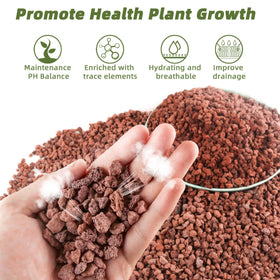 CJGQ red lava rocks bottom drainage protects roots with steady moisture management.