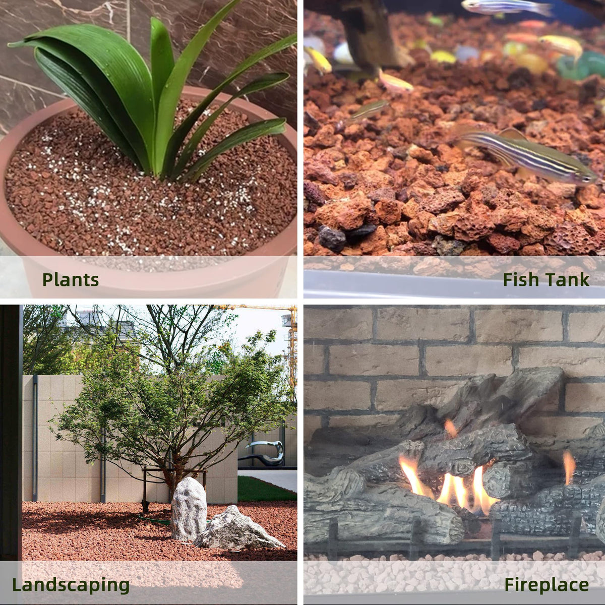 CJGQ red lava rocks color terrariums while aiding drainage and airflow.