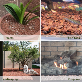 CJGQ red lava rocks color terrariums while aiding drainage and airflow.