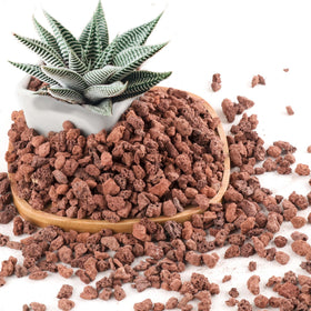 CJGQ red lava rocks top dressing enhances drainage for healthy pots.
