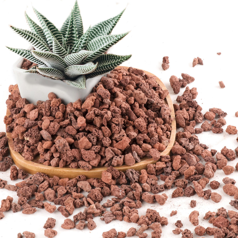CJGQ red lava rocks top dressing enhances drainage for healthy pots.