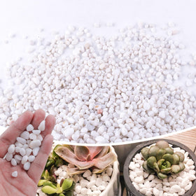 CJGQ small white rocks for plants; decorative surface cover that helps soil retention.