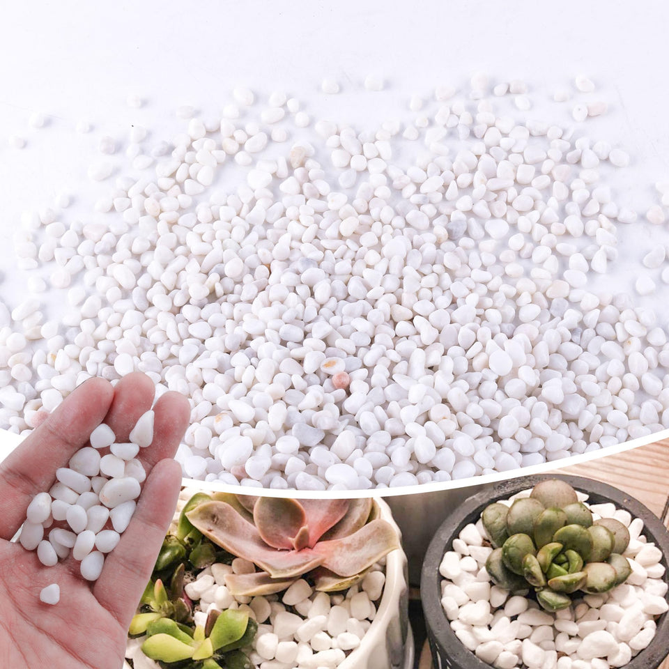 CJGQ small white rocks for plants; decorative surface cover that helps soil retention.