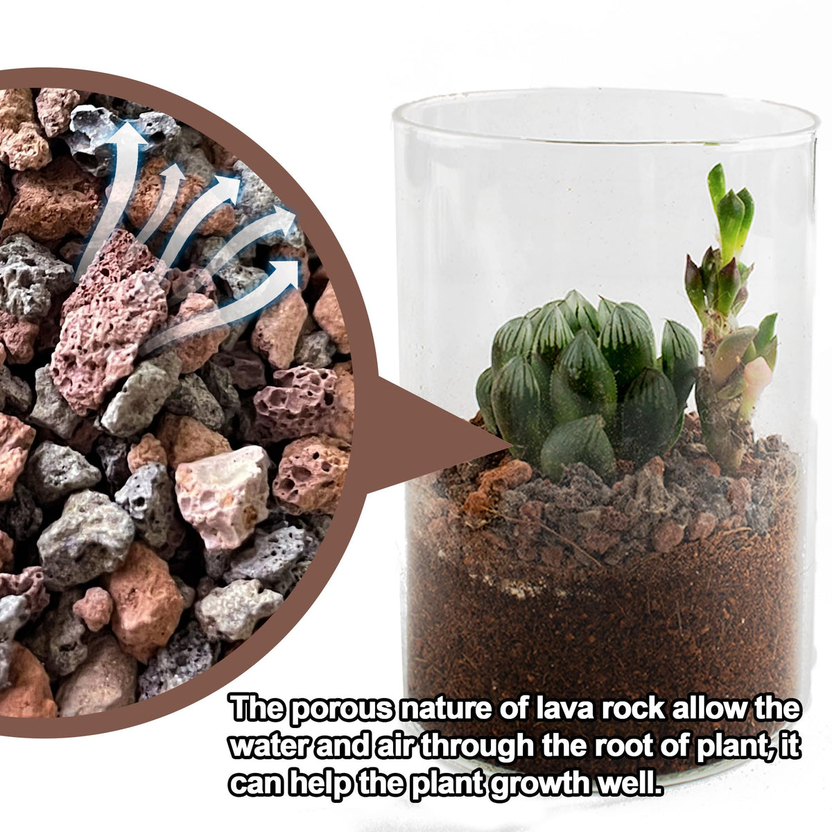 CJGQ terrarium decor with lava rocks adding color and texture.