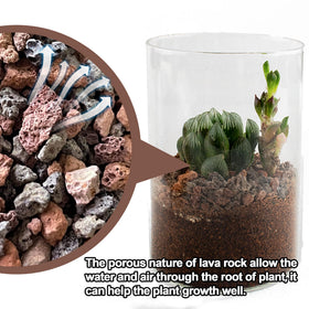 CJGQ terrarium decor with lava rocks adding color and texture.