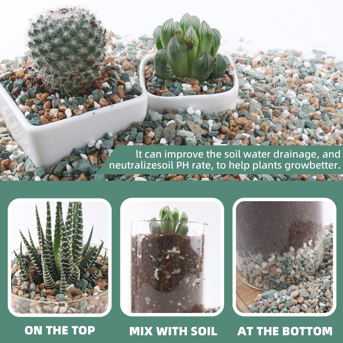 CJGQ terrarium decorative rocks for fairy gardens and DIY displays.