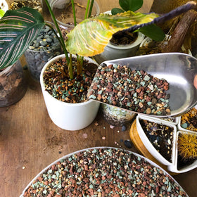 CJGQ top dressing stones balance soils and support plant health in pots.