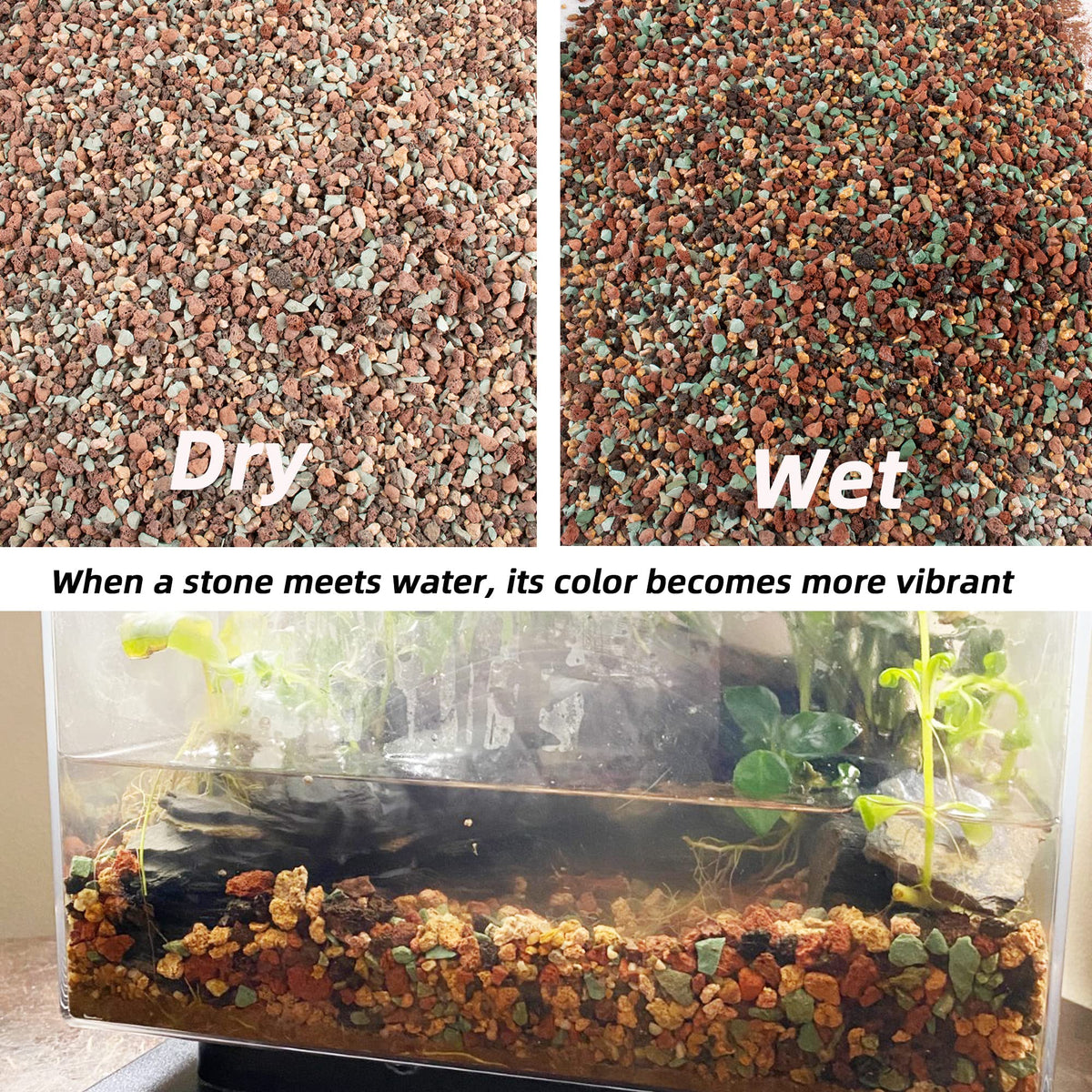 CJGQ vase fillers and fairy garden rocks brighten displays while improving drainage.