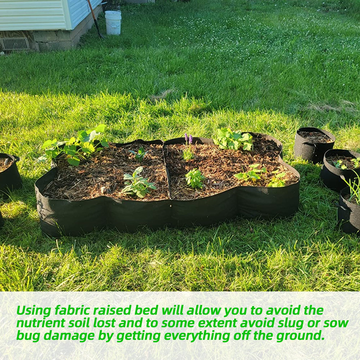 CJGQ ventilated root zone to promote healthy root growth