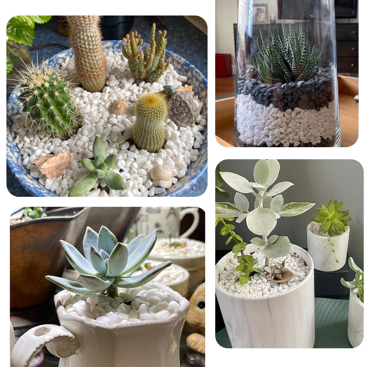 CJGQ white pebbles for vases; versatile decor accent for indoor arrangements.