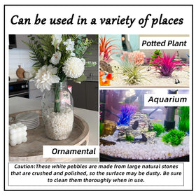 CJGQ white rocks for terrariums and bonsai; natural texture to enhance displays.
