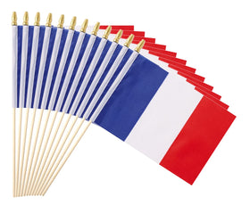 Ckexin France flag on a stick, 5x8 inch size for events.