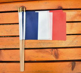 Ckexin France flag separate flag and pole; easy assembly.