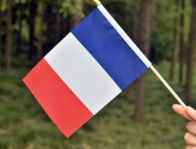Ckexin France flag ideal for celebrations, gardens, and offices.