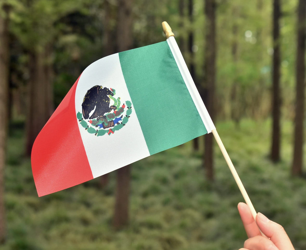 Ckexin office or garden display featuring Mexico flags for decorative use.