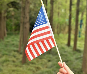Ckexin polyester USA flag weatherproof for outdoor use in rain or sun