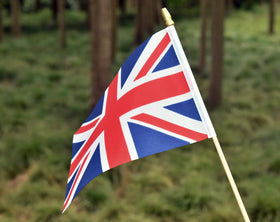 Ckexin flag used in garden or office decor.