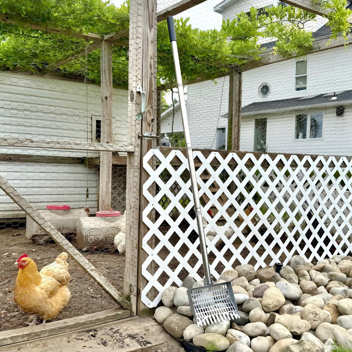 CKLT Extendable handle from 38 to 66 inches reduces bending during chores