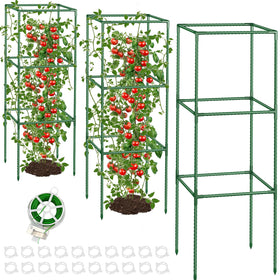 CL FUN 3-pack tomato cages assembled around a vine for sturdy support