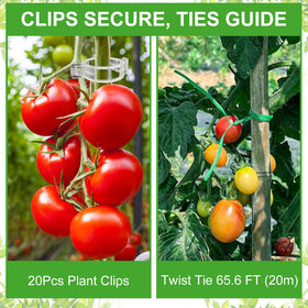 CL FUN adjustable height feature demonstrates flexible support as plants grow