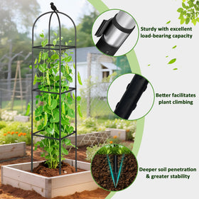 CL FUN cucumber trellis obelisk offers height-adjustable support for climbing vines