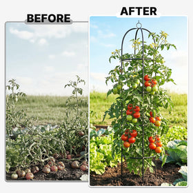 CL FUN 16-inch diameter base offers ample space for plant spread.