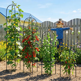 CL FUN indoor-outdoor trellis fits patio, garden, or greenhouse setups.