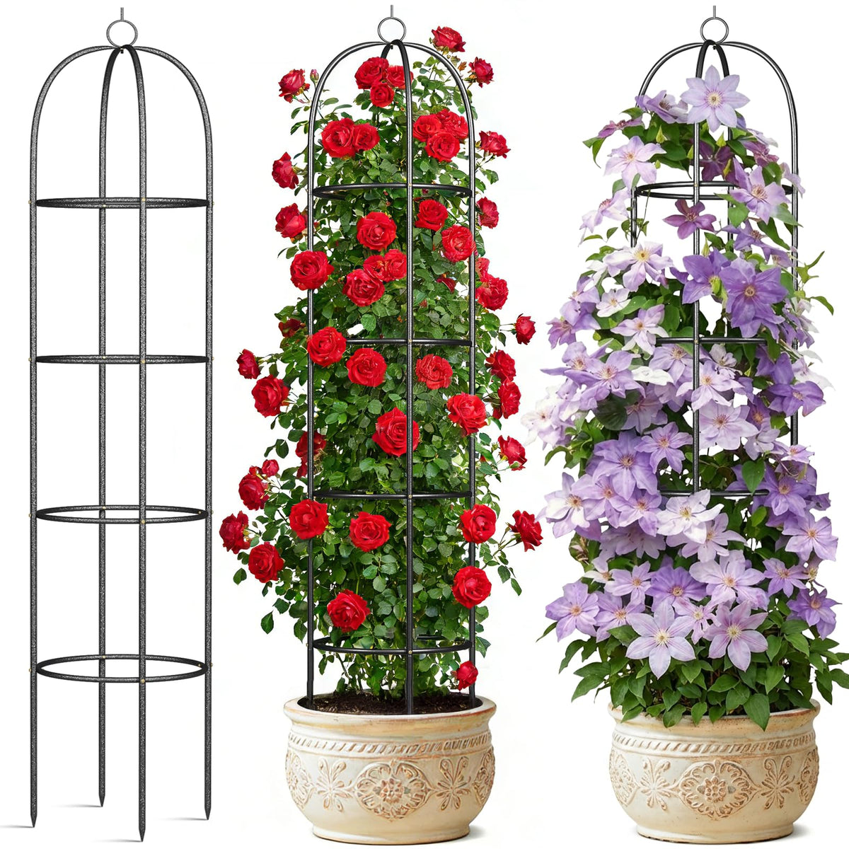 CL FUN metal trellis supports climbing roses with a sturdy, elegant frame.