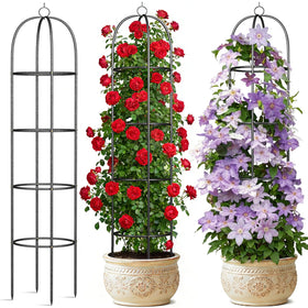 CL FUN metal trellis supports climbing roses with a sturdy, elegant frame.