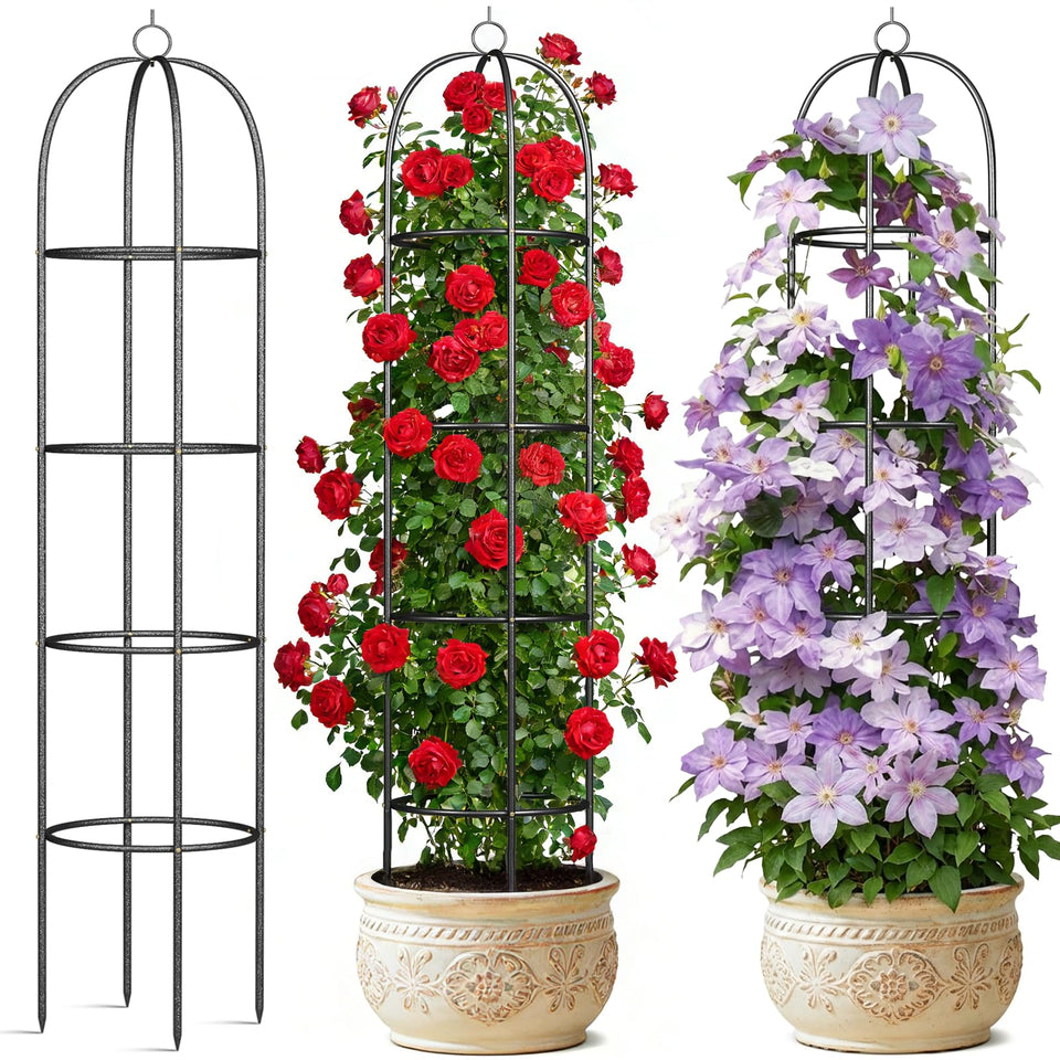 CL FUN metal trellis supports climbing roses with a sturdy, elegant frame.