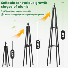 CL FUN Obelisk trellis stands four feet tall for vertical growth.