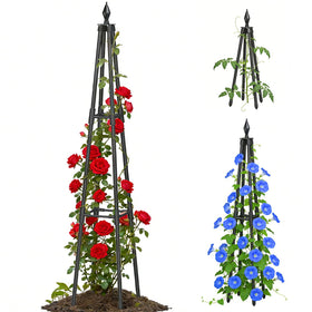 CL FUN Obelisk trellis base provides stable garden support for climbers.