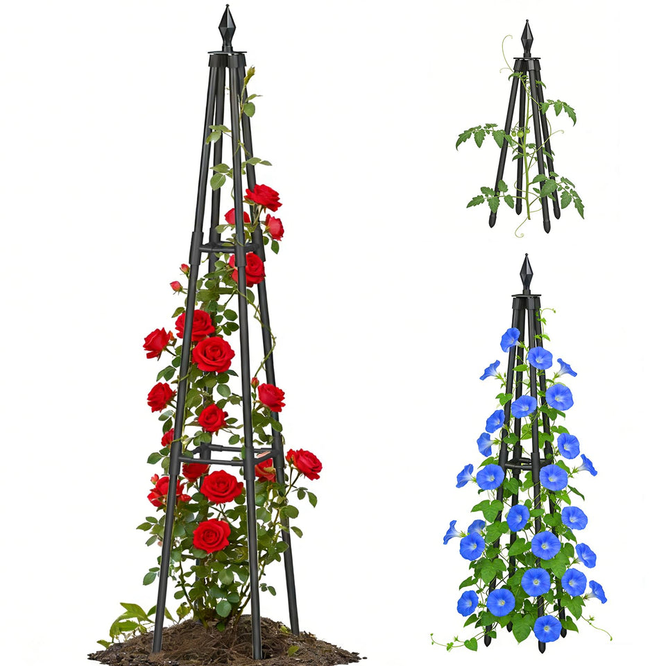 CL FUN Obelisk trellis base provides stable garden support for climbers.