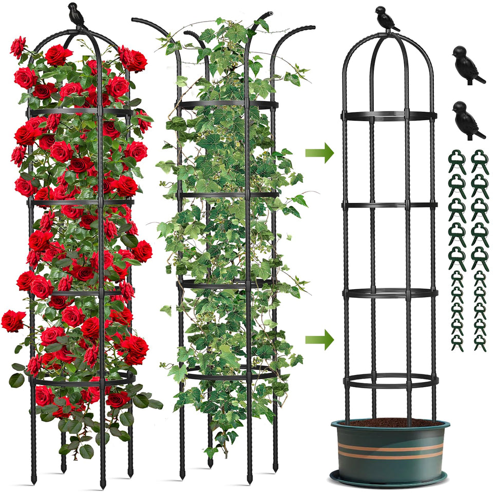 CL FUN Obelisk Trellis outdoor plant support for climbing vines