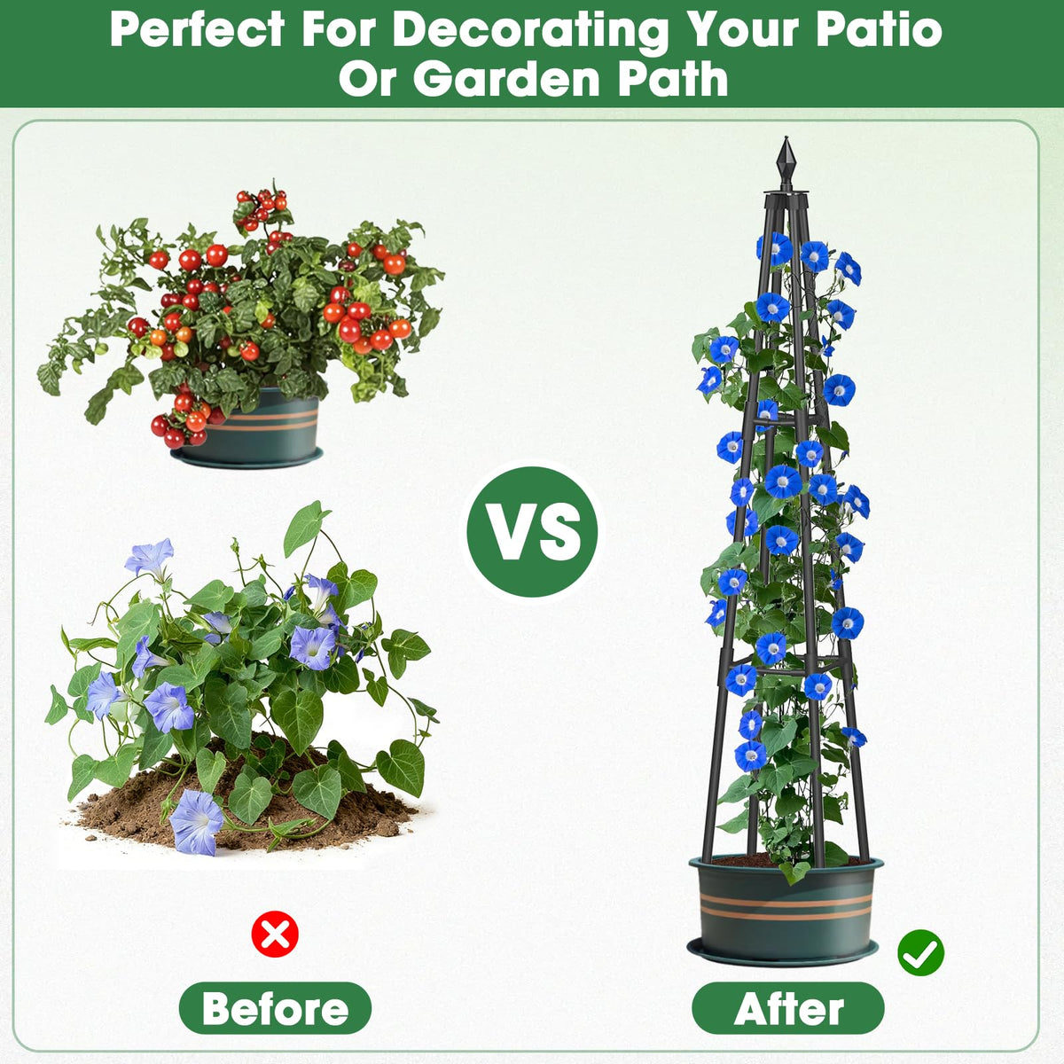 CL FUN Obelisk trellis ideal for roses and clematis in containers.