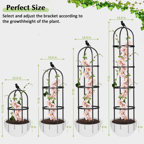 Versatile CL FUN Obelisk Trellis for roses, tomatoes, cucumbers and more